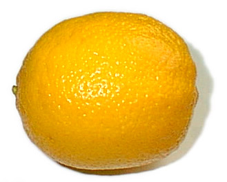 Lemon.JPG (26191 bytes)