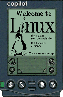 pilot-linux.GIF (35349 bytes)